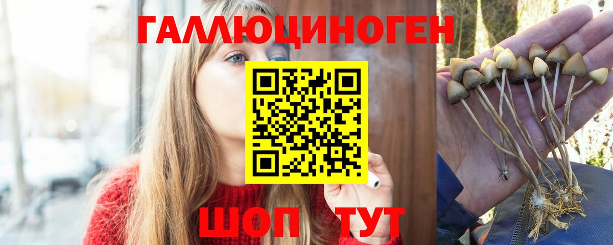 Галлюциногенные грибы мицелий  Псилоцибиновые грибы мухоморы  Вход с VPN  Сергиев Посад 